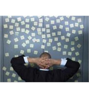 استراتژی و مدیریت عملکرد آریانا